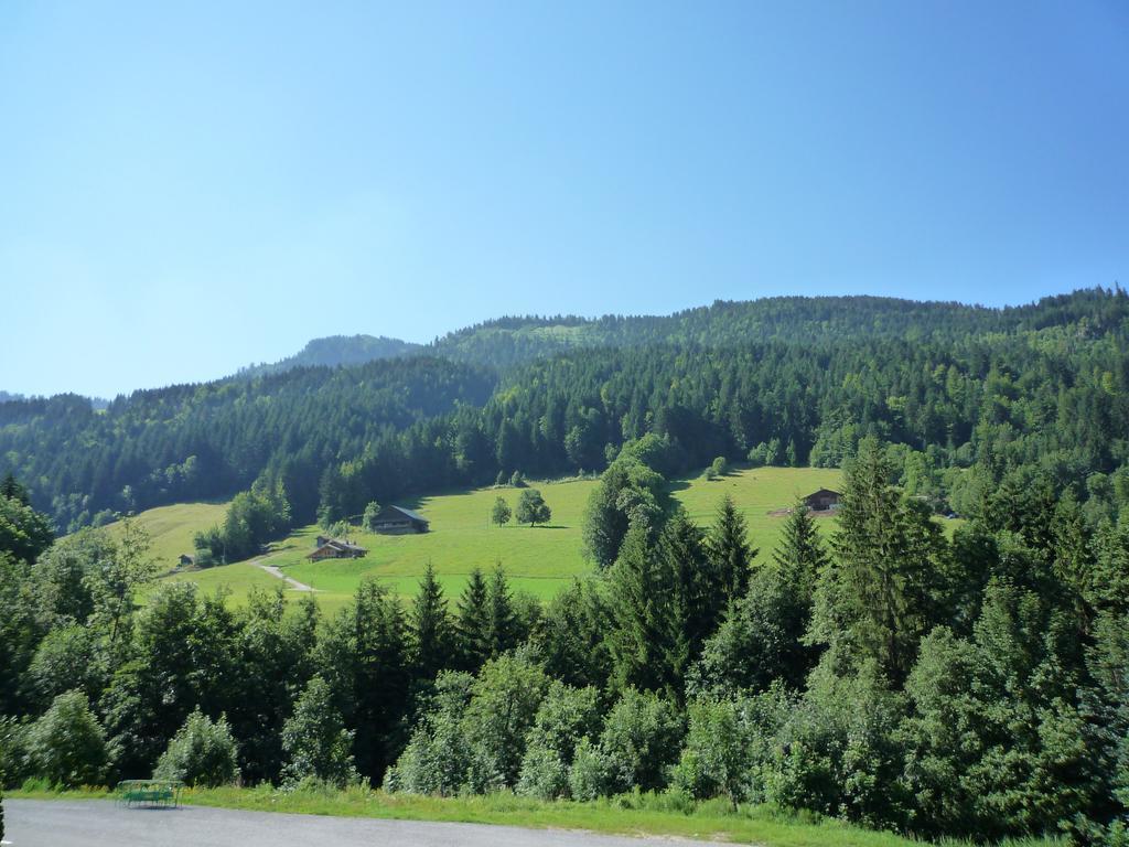 Апартаменты Aravis Locations Ле-Гран-Борнан Экстерьер фото